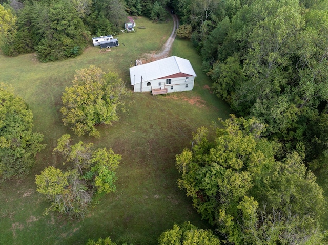 bird's eye view