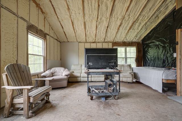 interior space with lofted ceiling