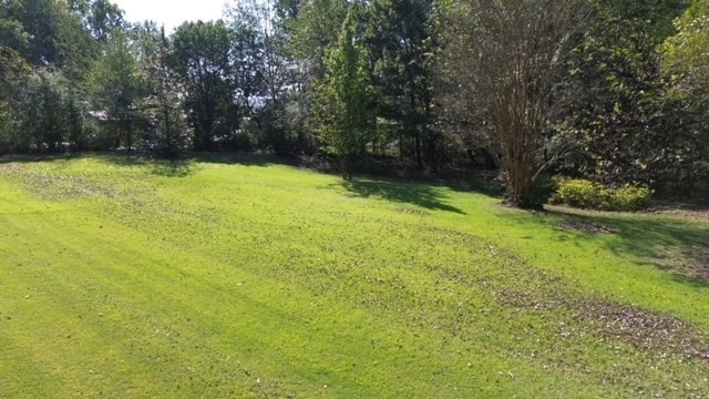 Listing photo 2 for 0 Sales Landing Rd, Camden TN 38320