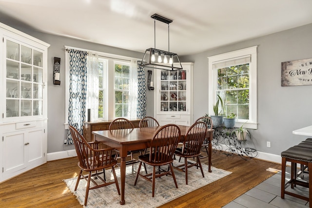 dining area featuring dark hardwood / wood-style floors and a healthy amount of sunlight