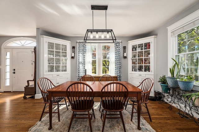 dining room featuring dark wood-type flooring