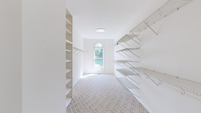 spacious closet with carpet flooring