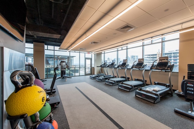 workout area featuring a wealth of natural light and a wall of windows