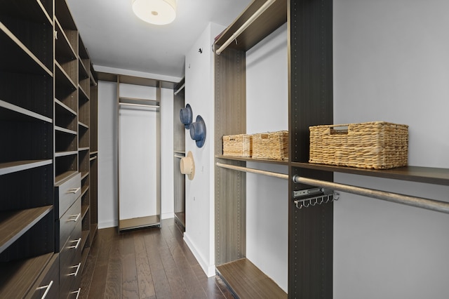 walk in closet featuring dark hardwood / wood-style floors