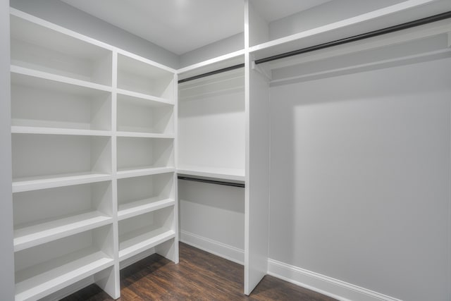 walk in closet with dark hardwood / wood-style flooring