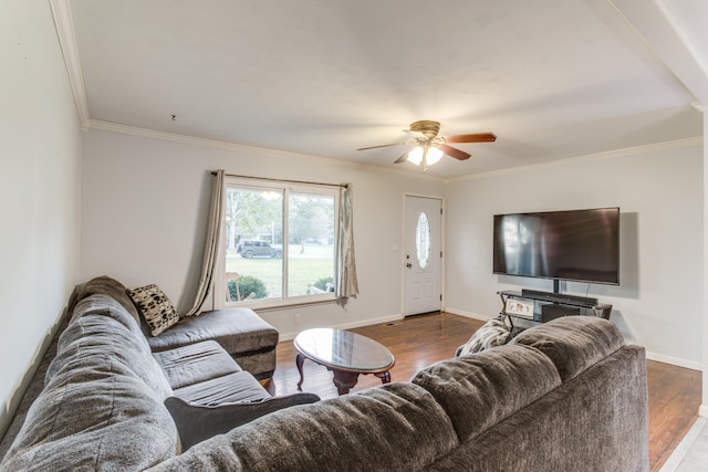 living room with ceiling fan, ornamental molding, and dark wood-type flooring