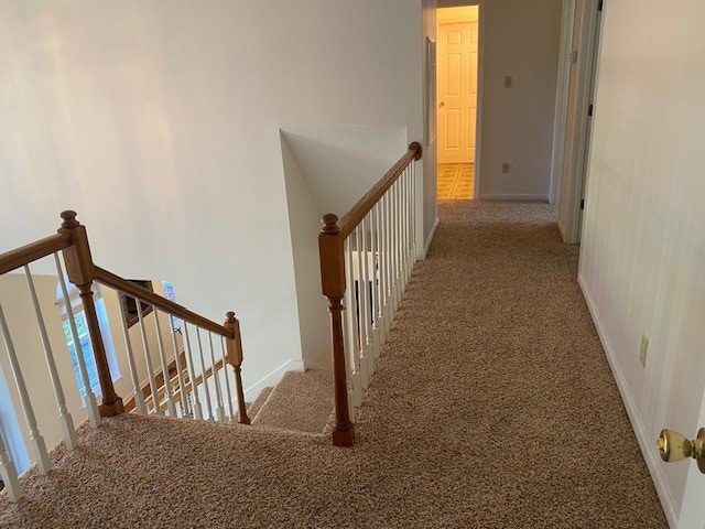 stairs with carpet