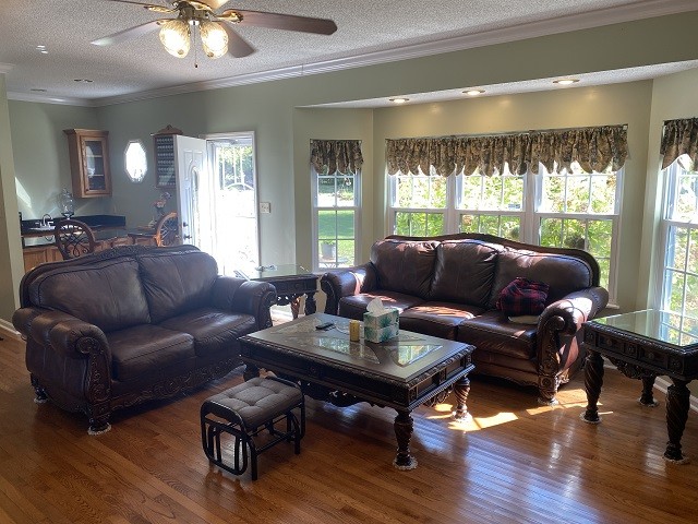 living room with hardwood / wood-style flooring, a textured ceiling, and a healthy amount of sunlight