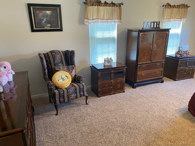 living area with light colored carpet