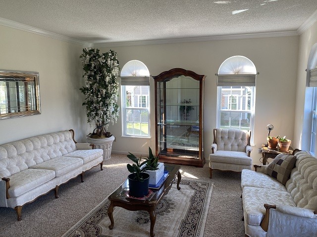 carpeted living room with a textured ceiling and crown molding