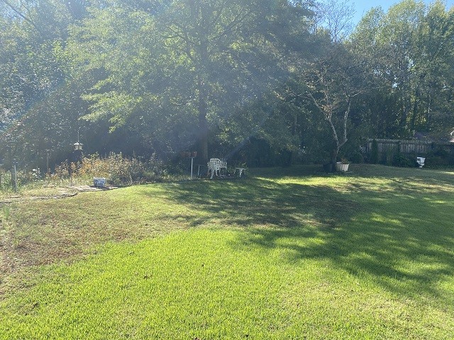 view of yard