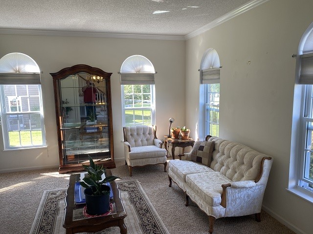 carpeted living room featuring a textured ceiling, a healthy amount of sunlight, and crown molding