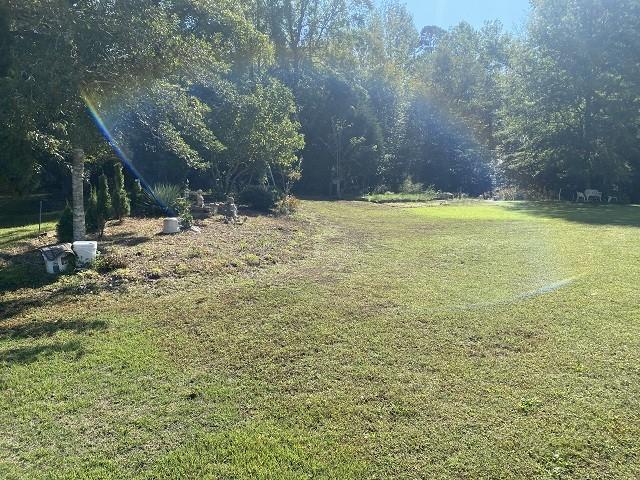 320 Eastern Shores Dr, Lexington, TN 38351 - photo 47