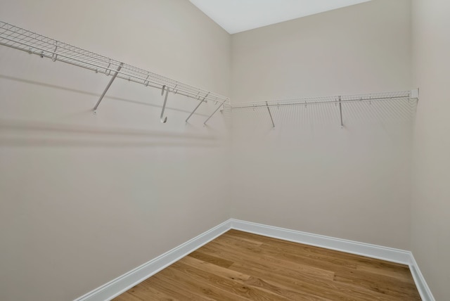 spacious closet featuring hardwood / wood-style floors