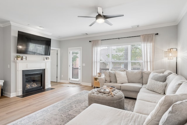 living room with ornamental molding, light wood-type flooring, and ceiling fan