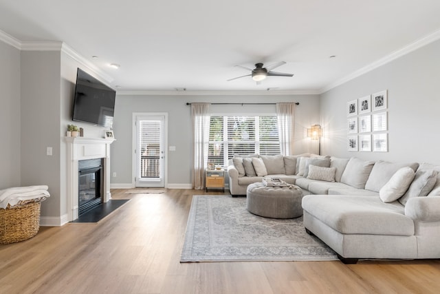 living room featuring ceiling fan, ornamental molding, and light hardwood / wood-style floors