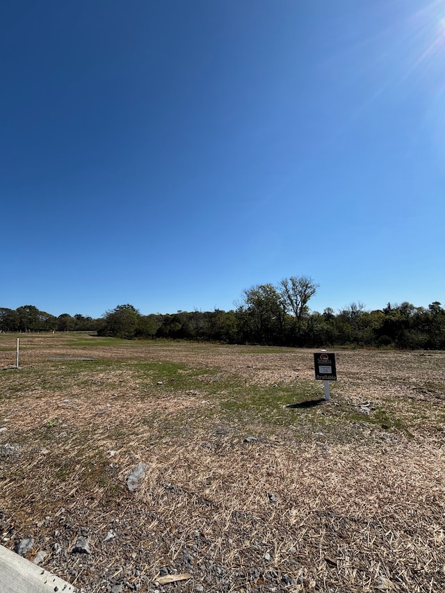 view of yard featuring a rural view