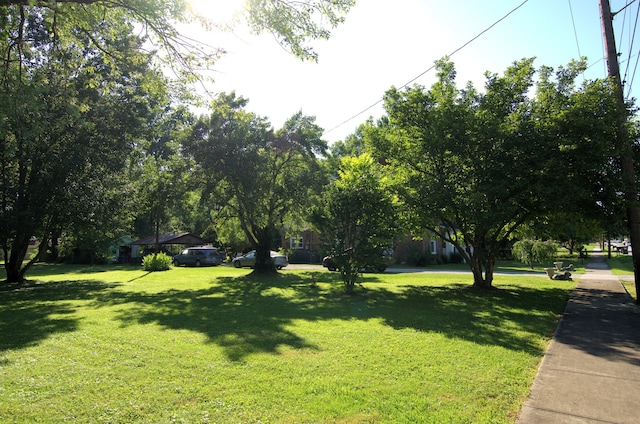 view of community featuring a lawn