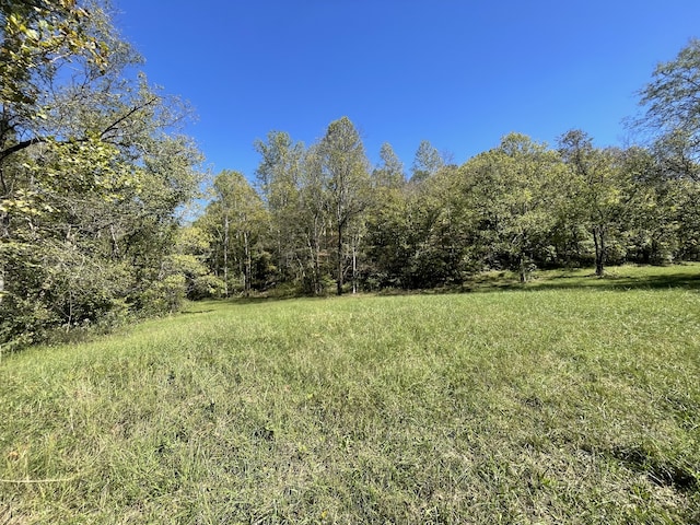 Listing photo 2 for 0 Gimlet Creek Rd, Lawrenceburg TN 38464