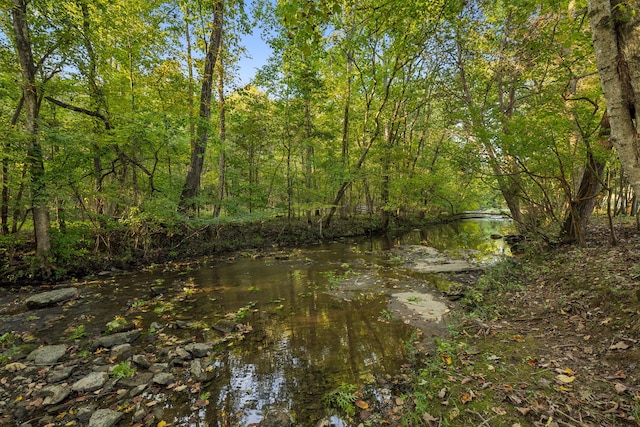 view of local wilderness