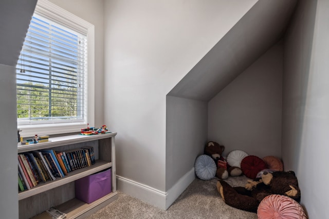 interior space with carpet flooring