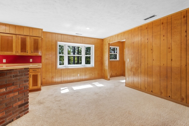 unfurnished living room featuring light carpet, wooden walls, and a textured ceiling