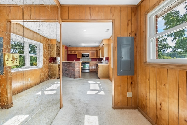 kitchen with a healthy amount of sunlight, wooden walls, electric panel, and stainless steel appliances