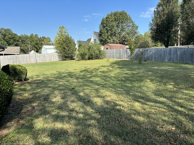 view of yard