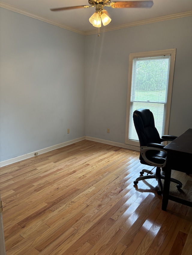 office space featuring ceiling fan, light hardwood / wood-style flooring, and ornamental molding