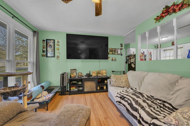 living room featuring ceiling fan and light hardwood / wood-style flooring