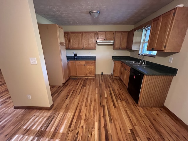 kitchen with dishwasher, light hardwood / wood-style flooring, and sink