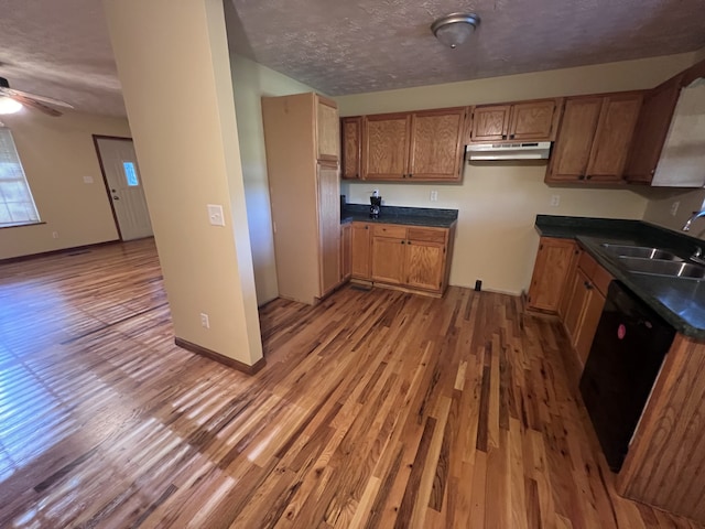 kitchen featuring light wood-type flooring, black dishwasher, a textured ceiling, sink, and ceiling fan