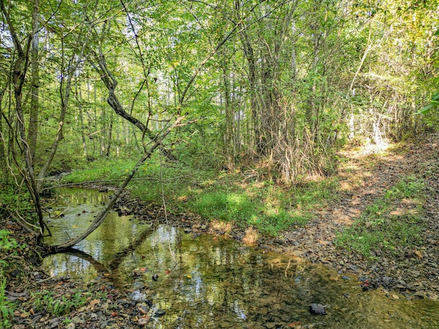 144 Abberly Ln, Hohenwald, TN 38462 - view of undeveloped land