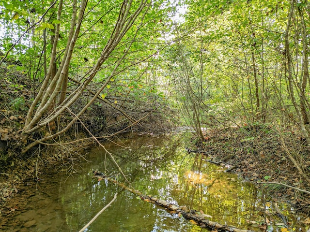 144 Abberly Ln, Hohenwald, TN 38462 - view of undeveloped land