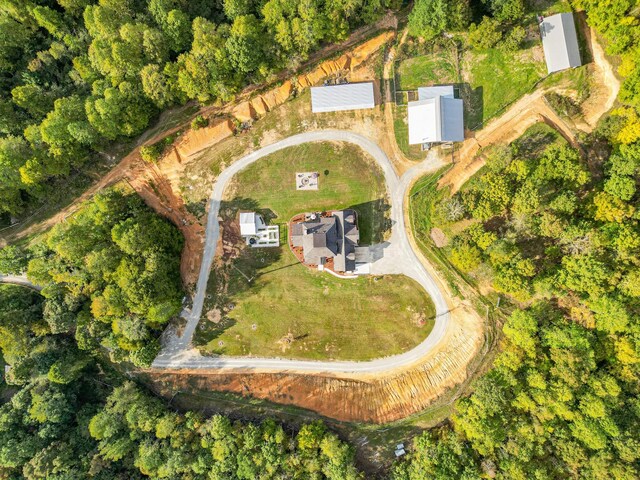 144 Abberly Ln, Hohenwald, TN 38462 - aerial view of property's location