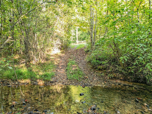 144 Abberly Ln, Hohenwald, TN 38462 - view of tree filled area