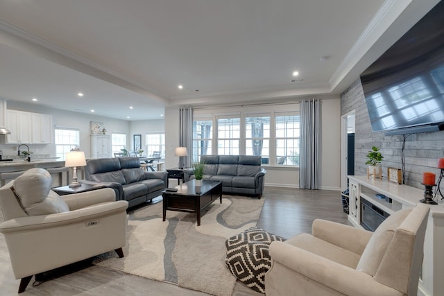 living room featuring ornamental molding, sink, and light hardwood / wood-style floors