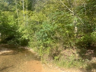 1 Sullivan Rd, Lyles TN, 37098 land for sale