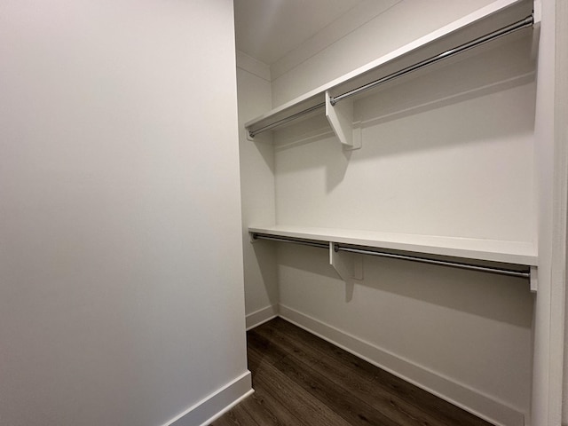 walk in closet with dark hardwood / wood-style floors