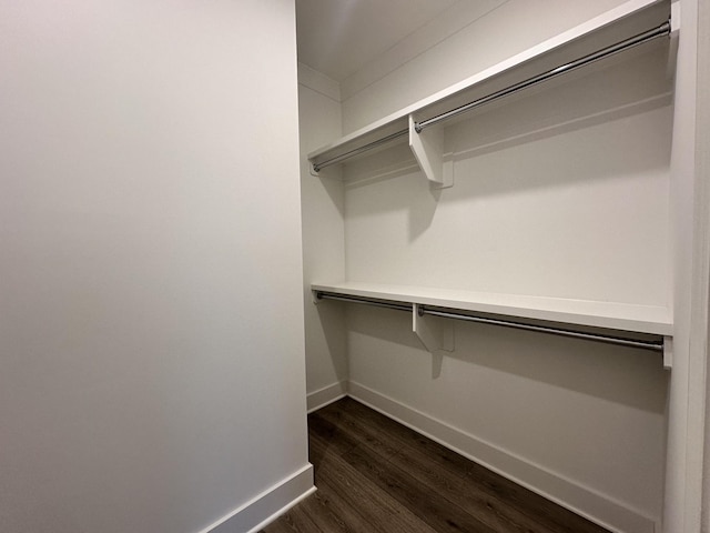 walk in closet with dark wood-type flooring