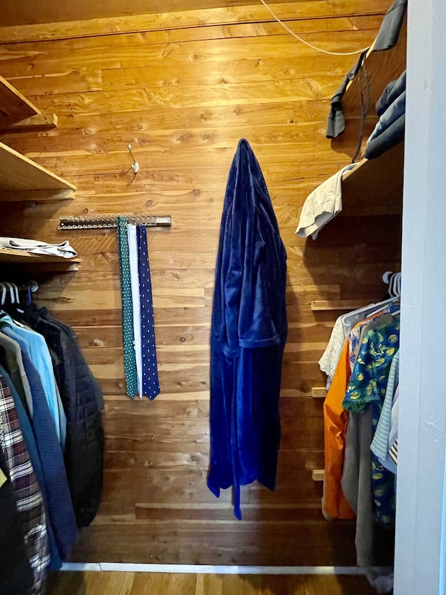 spacious closet with hardwood / wood-style floors