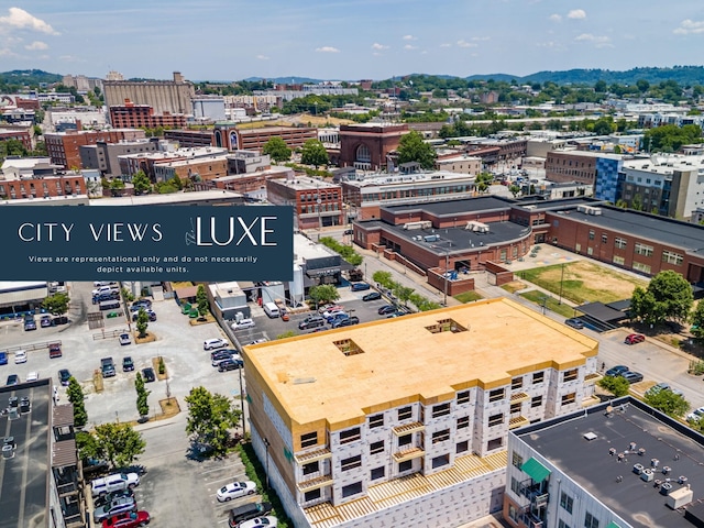 birds eye view of property with a mountain view