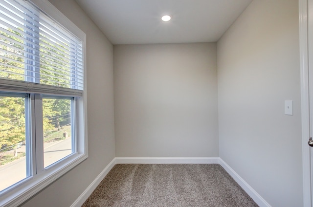 carpeted spare room featuring a wealth of natural light