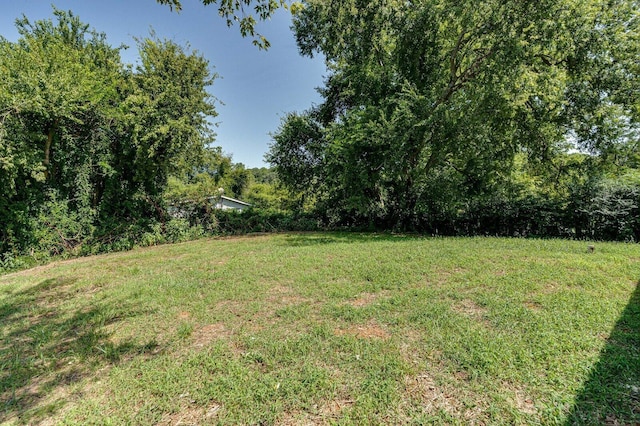 view of yard with a wooded view
