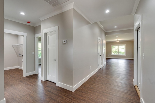 hallway with crown molding and dark wood-type flooring