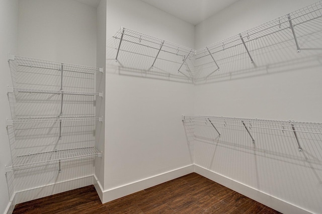 walk in closet featuring dark wood finished floors