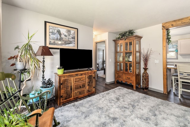 living room featuring dark hardwood / wood-style flooring