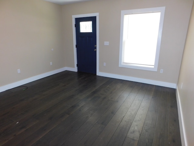 entrance foyer with dark wood-type flooring and a wealth of natural light