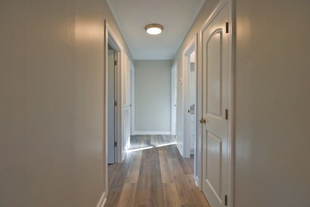 hallway with light hardwood / wood-style floors