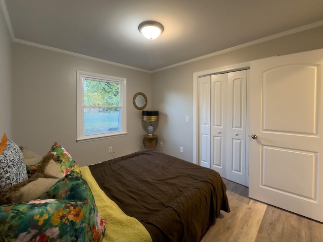 bedroom with a closet, ornamental molding, and light wood-type flooring